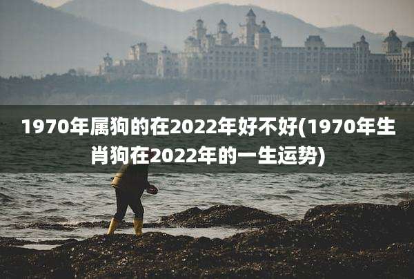 1970年属狗的在2022年好不好(1970年生肖狗在2022年的一生运势)