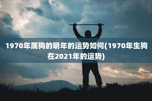 1970年属狗的明年的运势如何(1970年生狗在2021年的运势)