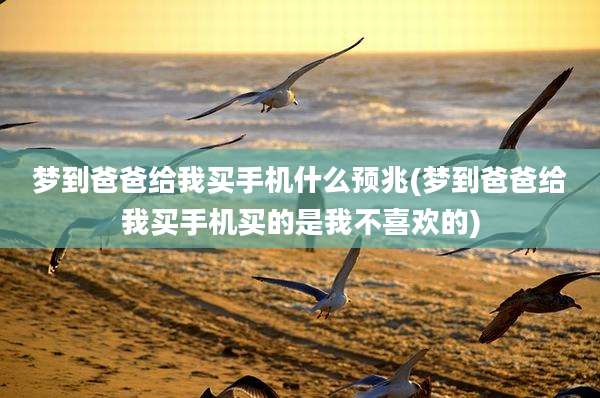 梦到爸爸给我买手机什么预兆(梦到爸爸给我买手机买的是我不喜欢的)