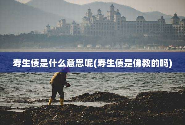 寿生债是什么意思呢(寿生债是佛教的吗)