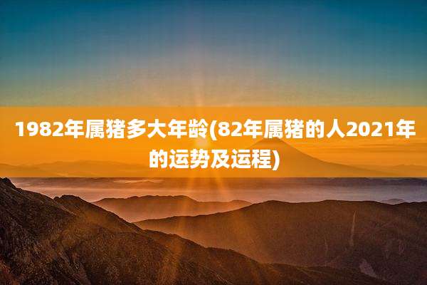 1982年属猪多大年龄(82年属猪的人2021年的运势及运程)