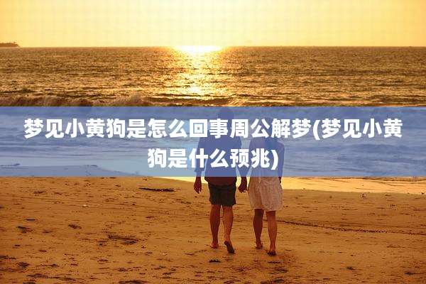 梦见小黄狗是怎么回事周公解梦(梦见小黄狗是什么预兆)