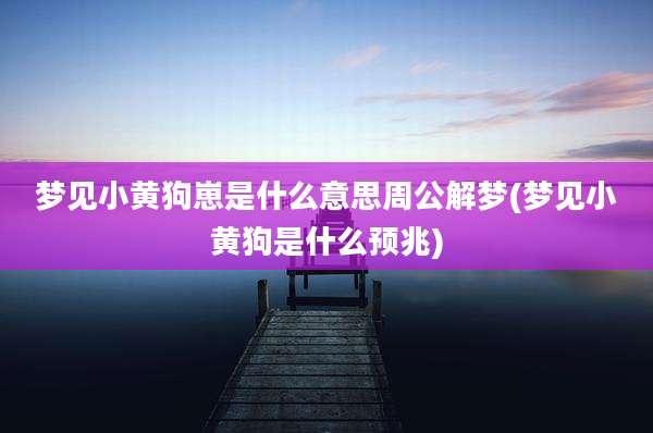 梦见小黄狗崽是什么意思周公解梦(梦见小黄狗是什么预兆)