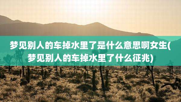 梦见别人的车掉水里了是什么意思啊女生(梦见别人的车掉水里了什么征兆)