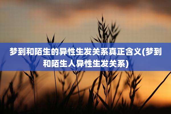 梦到和陌生的异性生发关系真正含义(梦到和陌生人异性生发关系)