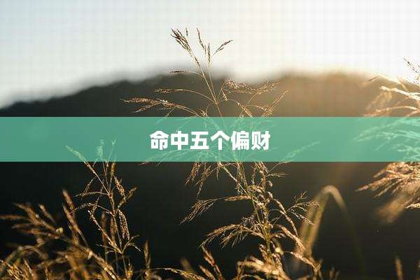 命中五个偏财