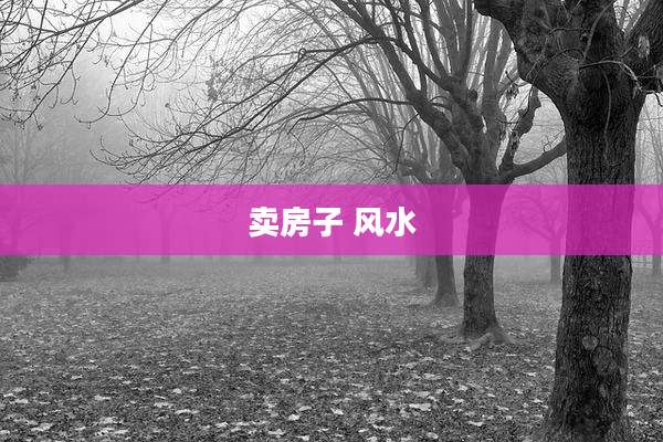 卖房子 风水
