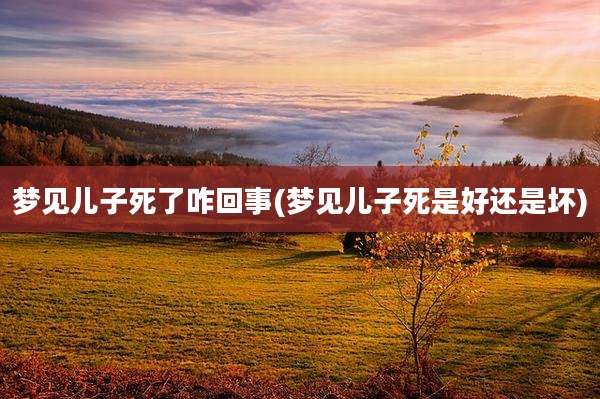 梦见儿子死了咋回事(梦见儿子死是好还是坏)