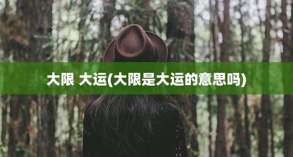 大限 大运(大限是大运的意思吗)