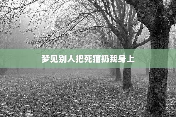 梦见别人把死猫扔我身上