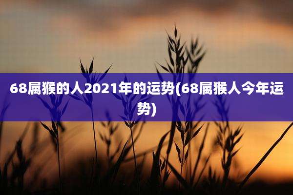 68属猴的人2021年的运势(68属猴人今年运势)