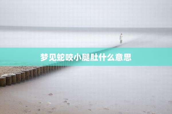 梦见蛇咬小腿肚什么意思