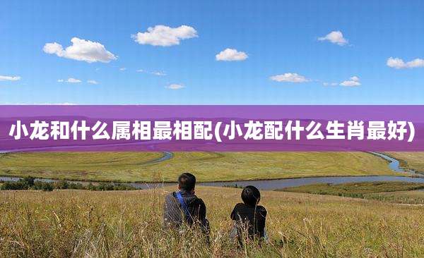 小龙和什么属相最相配(小龙配什么生肖最好)