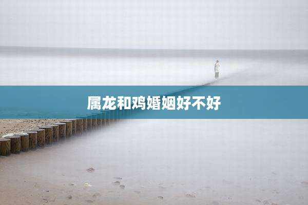 属龙和鸡婚姻好不好