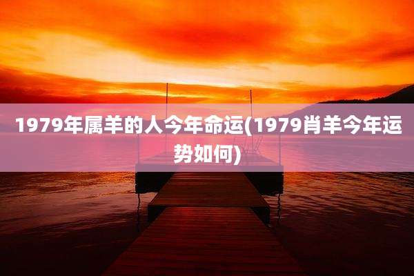 1979年属羊的人今年命运(1979肖羊今年运势如何)