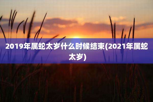 2019年属蛇太岁什么时候结束(2021年属蛇 太岁)