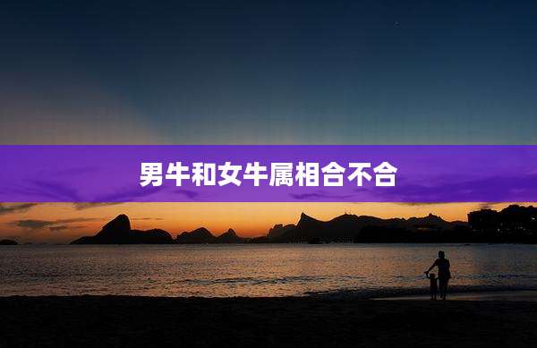 男牛和女牛属相合不合