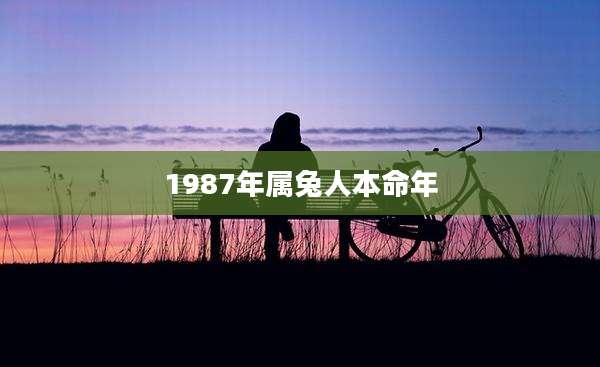 1987年属兔人本命年