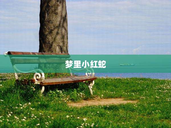 梦里小红蛇