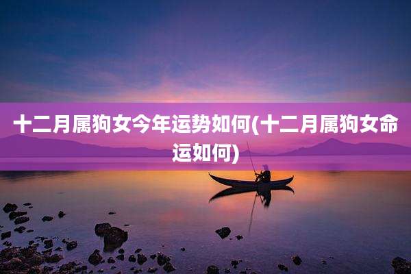 十二月属狗女今年运势如何(十二月属狗女命运如何)