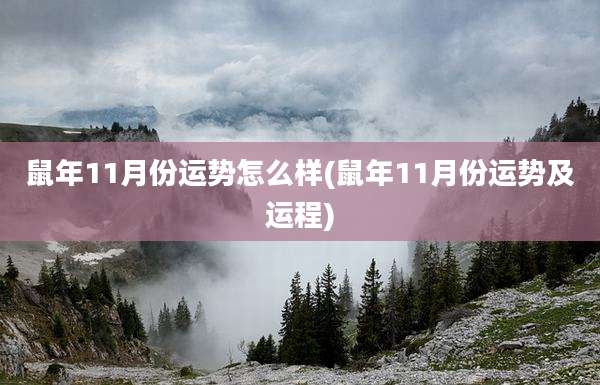 鼠年11月份运势怎么样(鼠年11月份运势及运程)