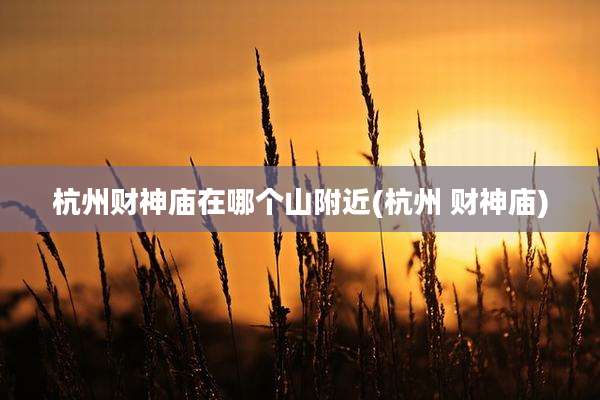 杭州财神庙在哪个山附近(杭州 财神庙)