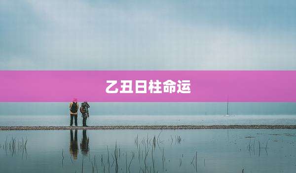 乙丑日柱命运