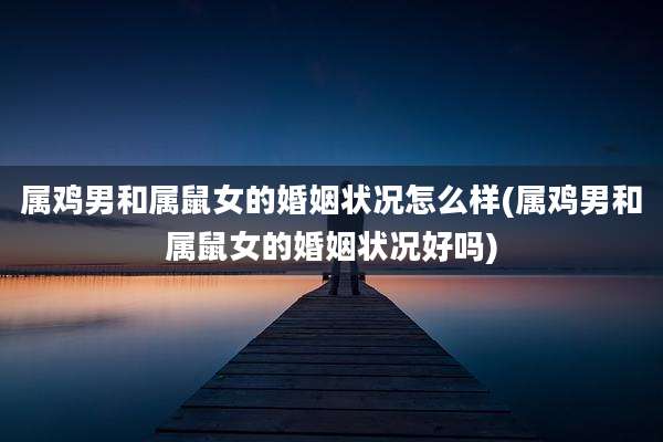 属鸡男和属鼠女的婚姻状况怎么样(属鸡男和属鼠女的婚姻状况好吗)