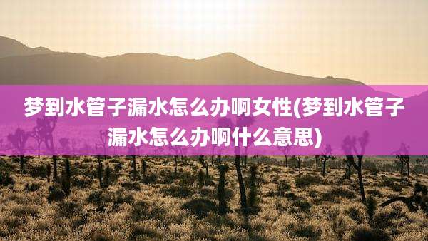 梦到水管子漏水怎么办啊女性(梦到水管子漏水怎么办啊什么意思)