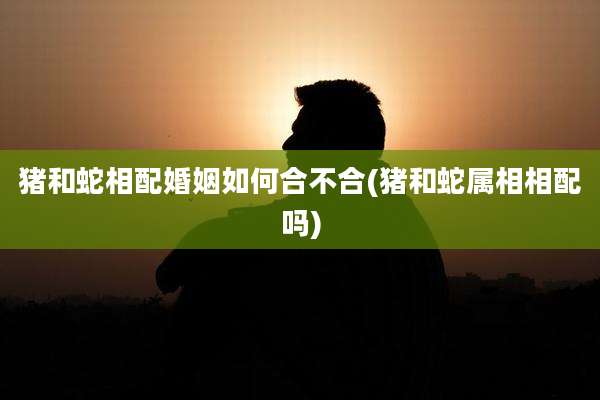 猪和蛇相配婚姻如何合不合(猪和蛇属相相配吗)