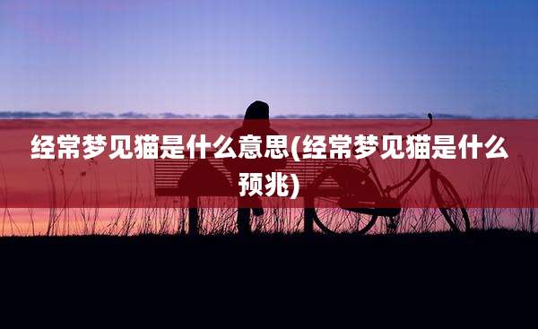 经常梦见猫是什么意思(经常梦见猫是什么预兆)
