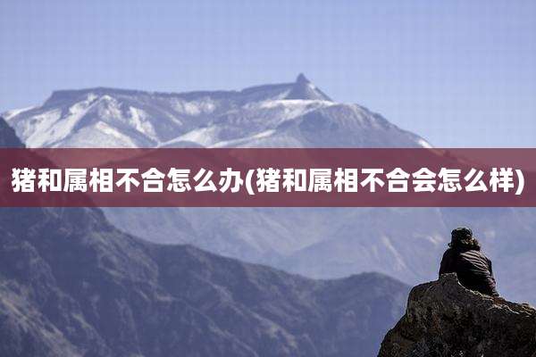 猪和属相不合怎么办(猪和属相不合会怎么样)