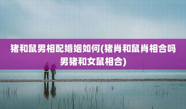 猪和鼠男相配婚姻如何(猪肖和鼠肖相合吗男猪和女鼠相合)