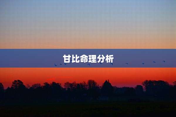 甘比命理分析