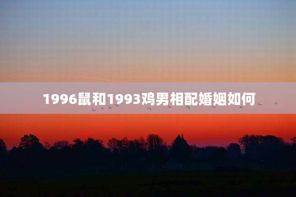 1996鼠和1993鸡男相配婚姻如何