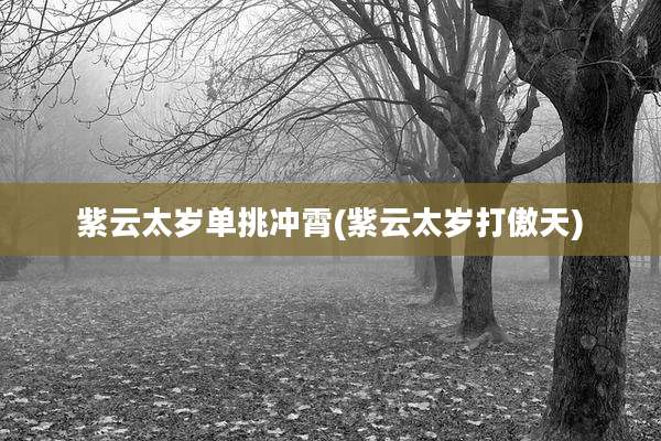 紫云太岁单挑冲霄(紫云太岁打傲天)