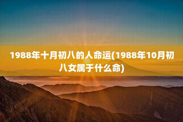 1988年十月初八的人命运(1988年10月初八女属于什么命)
