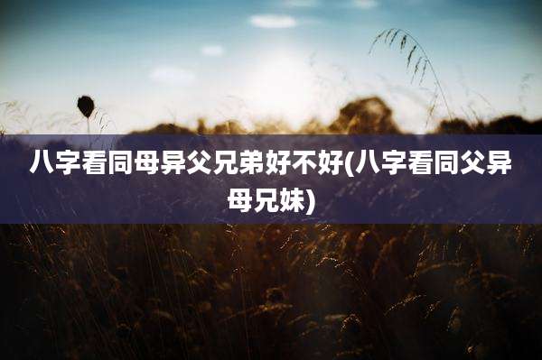 八字看同母异父兄弟好不好(八字看同父异母兄妹)