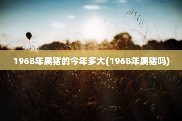 1968年属猪的今年多大(1968年属猪吗)
