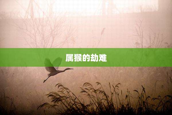 属猴的劫难