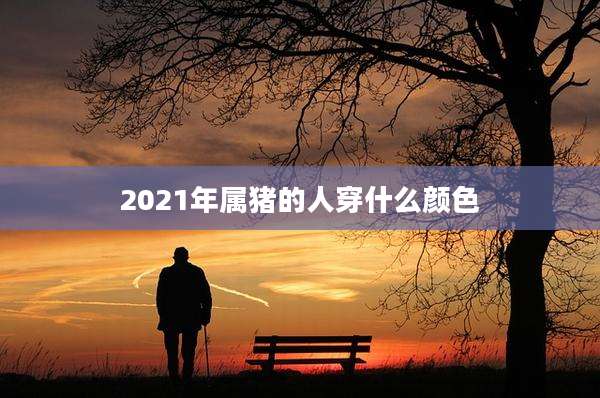 2021年属猪的人穿什么颜色