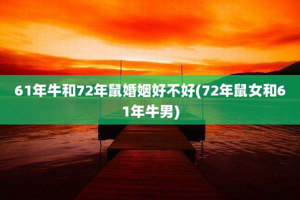 61年牛和72年鼠婚姻好不好(72年鼠女和61年牛男)