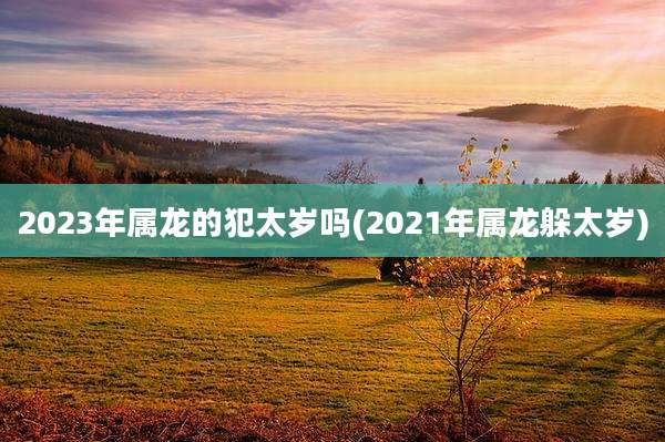 2023年属龙的犯太岁吗(2021年属龙躲太岁)