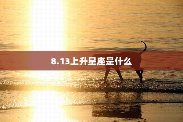 8.13上升星座是什么