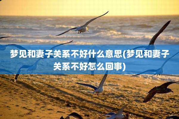 梦见和妻子关系不好什么意思(梦见和妻子关系不好怎么回事)