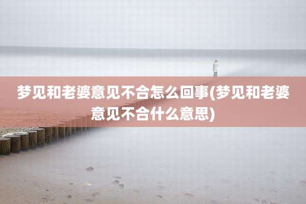 梦见和老婆意见不合怎么回事(梦见和老婆意见不合什么意思)
