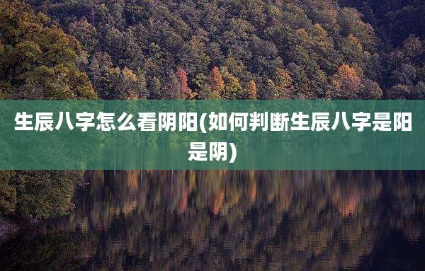 生辰八字怎么看阴阳(如何判断生辰八字是阳是阴)