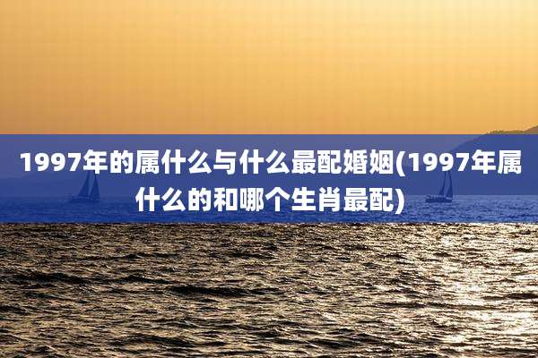 1997年的属什么与什么最配婚姻(1997年属什么的和哪个生肖最配)