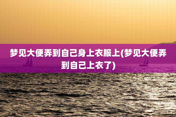 梦见大便弄到自己身上衣服上(梦见大便弄到自己上衣了)