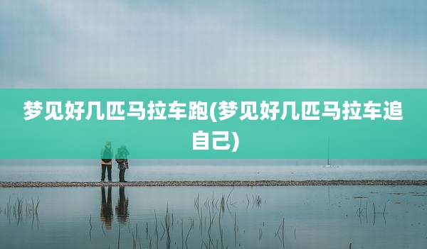 梦见好几匹马拉车跑(梦见好几匹马拉车追自己)